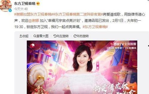 谢娜爆料录音视频播放下载,揭秘娱乐圈幕后故事